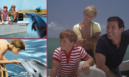Flipper: Un ícono televisivo para los niños cubanos de los años 90