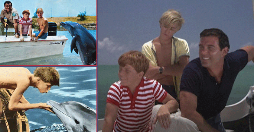 Flipper: Un ícono televisivo para los niños cubanos de los años 90