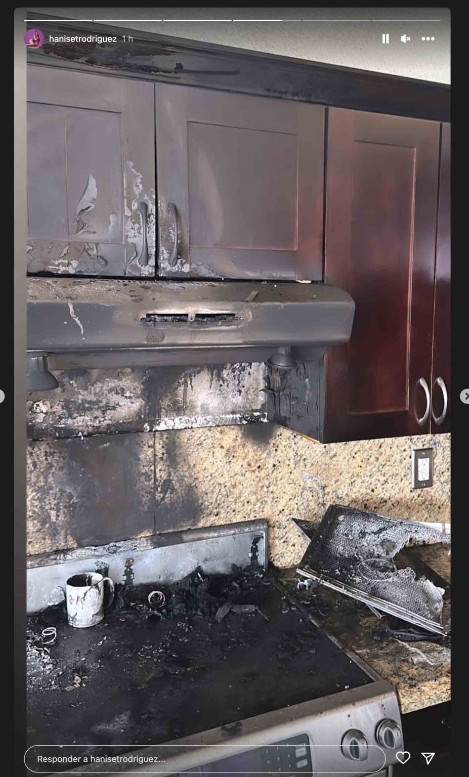 Se Incendia La Casa En Miami De La Modelo Haniset Rodríguez