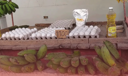 Comer huevo: es un “lujo” que no pueden permitirse muchos cubanos
