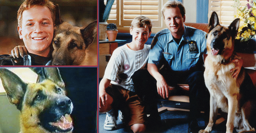 Rin Tin Tin y la Brigada Canina: Un héroe canino en la pantalla cubana
