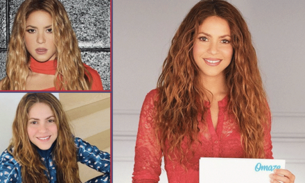 ¿Qué carrera estudió Shakira en la Universidad ?