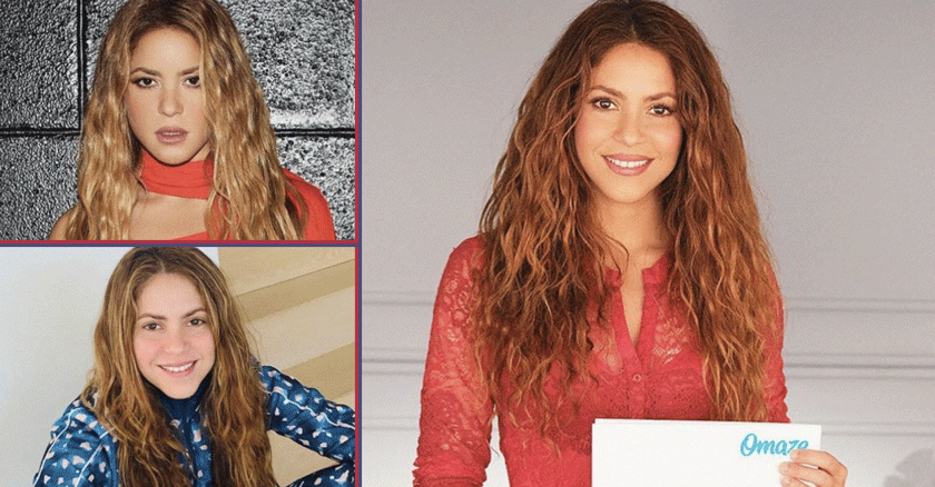 ¿Qué carrera estudió Shakira en la Universidad ?