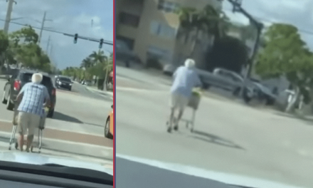Anciano Con Carrito de Supermercado en Miami: Una Escena que Despierta Conciencia y Debate