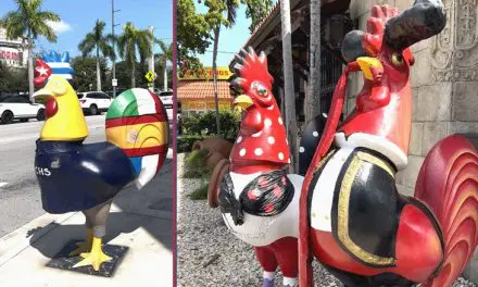 Miami ocupa el quinto lugar entre las ciudades con mayor felicidad en Florida, revela investigación