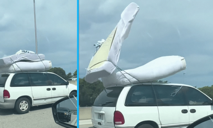 Conductor Circula por Autopista de Miami con Colchones en el Techo